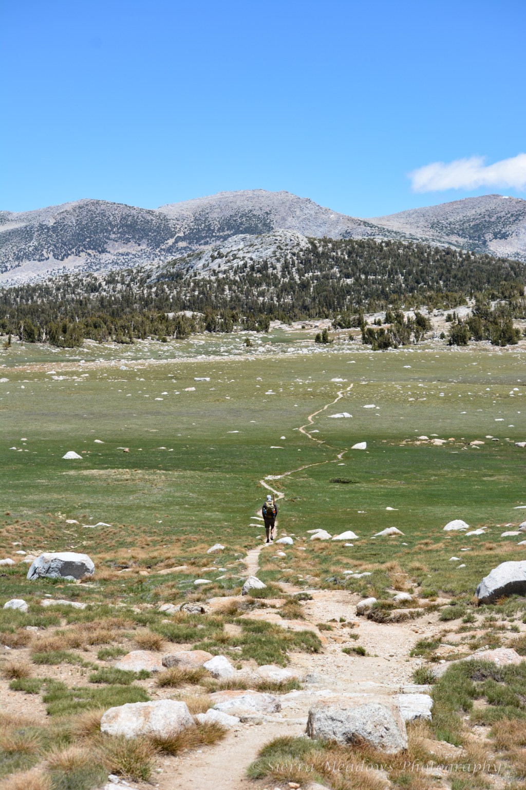 Three Days in Tuolumne Meadows: Lyell Canyon and Vogelsang&nbsp;Loop