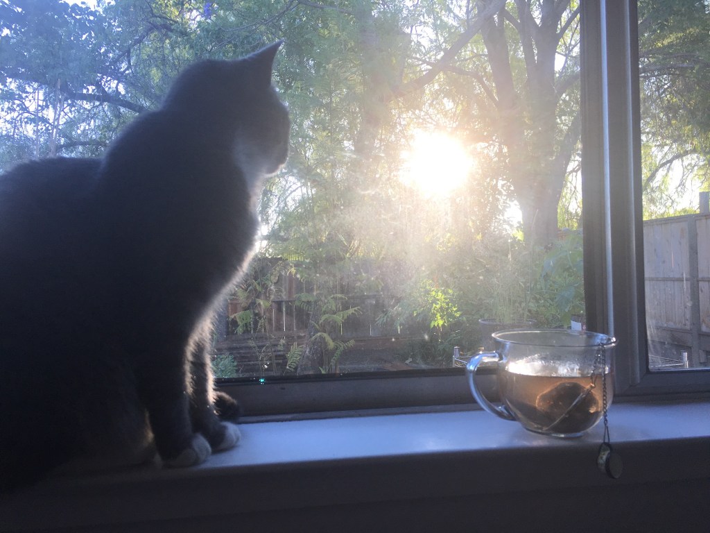 What Quarantine Taught&nbsp;Me