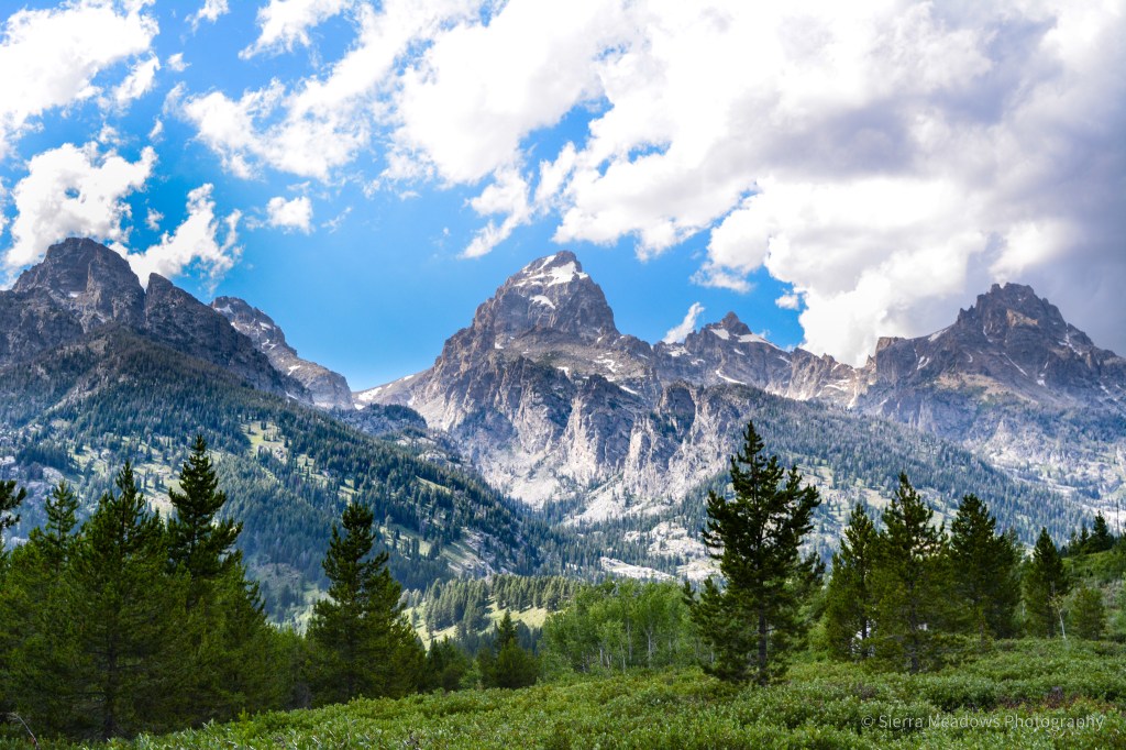 10 Days in Grand Teton, Yellowstone, & Bozeman,&nbsp;MT