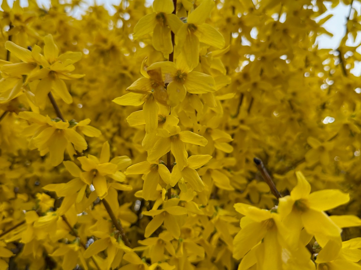 Tips for Getting the Most Out of&nbsp;Spring