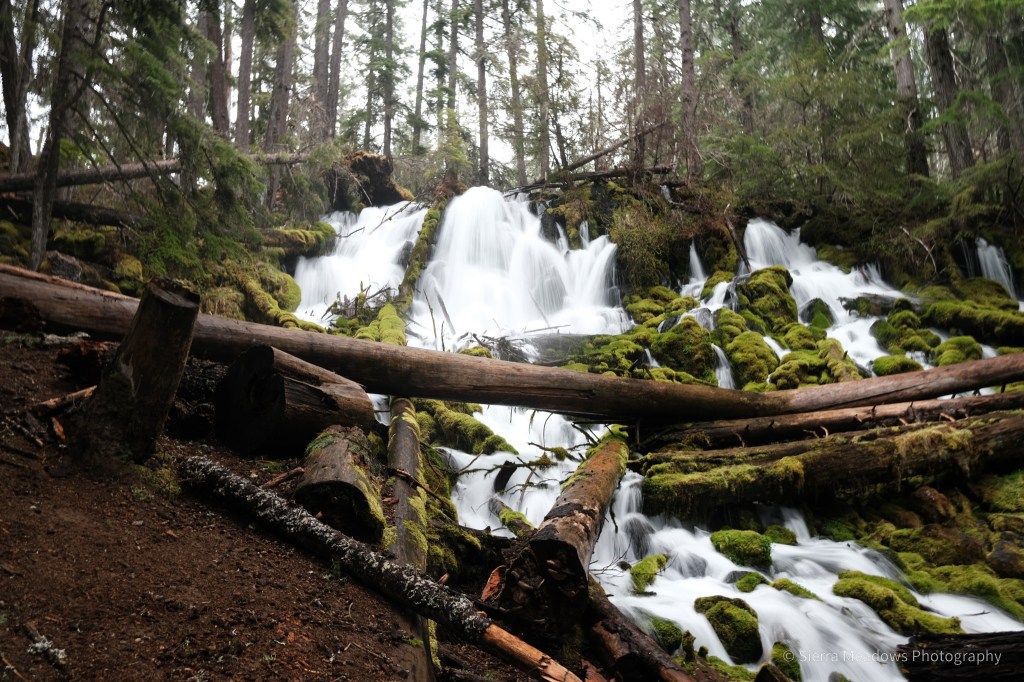 Chasing Waterfalls ~ Rogue Umpqua Scenic&nbsp;Byway